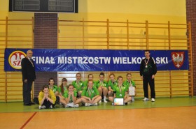 Srebrne koźminianki Srebrne koźminianki
