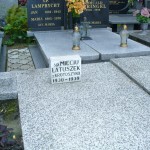 Lotnictwo Przedwiośnie (3)