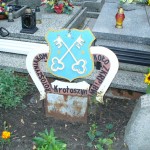 Lotnictwo Przedwiośnie (4)