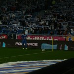 pogoń (24)
