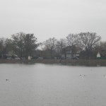 DSCN2299