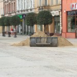 DSCF8703