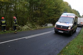 Samochód dostawczy wypadł z drogi Samochód dostawczy wypadł z drogi