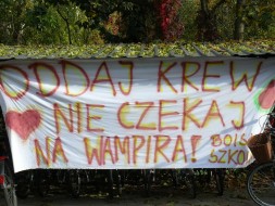 Nie czekać na wampira Nie czekać na wampira
