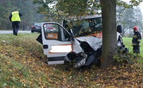 Uderzył w drzewo Uderzył w drzewo