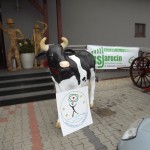 Obraz 275