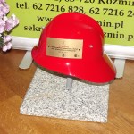Obraz 293