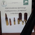 Obraz 310