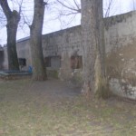 DSCF6309 (Kopiowanie)