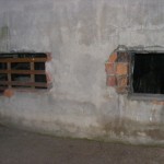 DSCF6314 (Kopiowanie)
