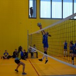Siatkówka dziewcząt SP  (31)