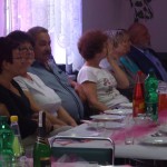 działki (11)