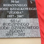 działki (25)